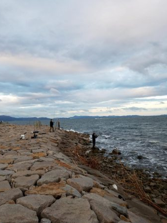 しっぶしぶな釣果