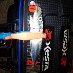 第2回KPN(カサゴパーティーナイト)大会‼