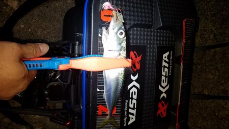 第2回KPN(カサゴパーティーナイト)大会‼