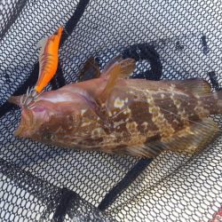 久々のマイボートフィッシング