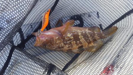 久々のマイボートフィッシング