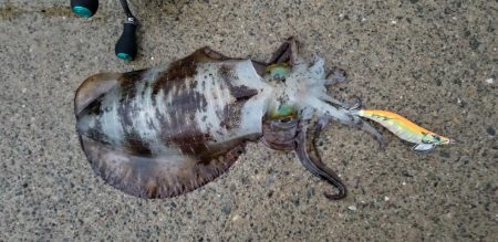 雨にも負けず、風にも負けず❗