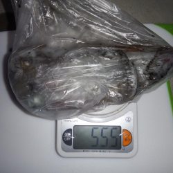 寝坊からスタート