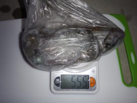 寝坊からスタート