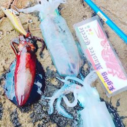 丹後半島夕マズメ&朝マズメ釣行！