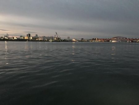 今日は、渋かった。