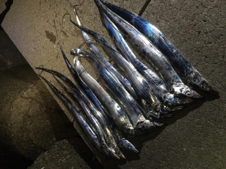 まずまずだぬぇ〜