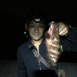 夕まずめからのロックフィッシュ