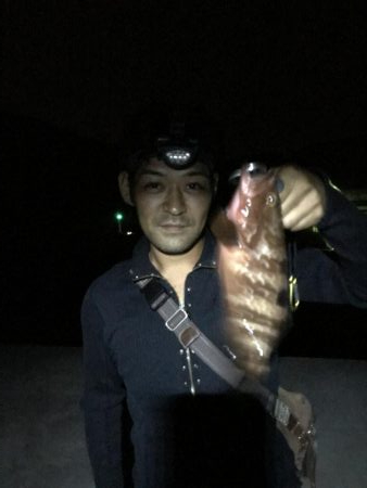 夕まずめからのロックフィッシュ