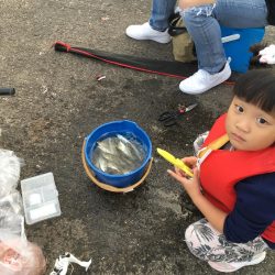 アジ サバ 大漁