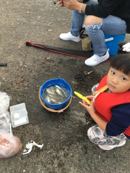 アジ サバ 大漁