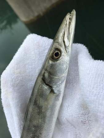 出勤前に五目！