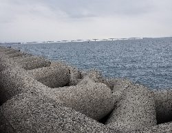 太刀魚ときどき鯵