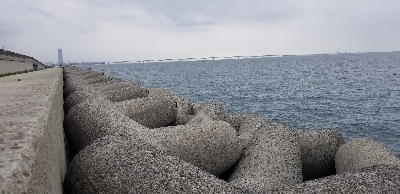 太刀魚ときどき鯵