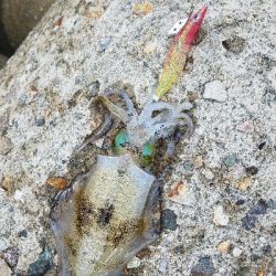 数おおすぎーーーー！