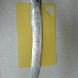 神戸沖堤調査No1