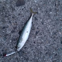 メタルジャッカー