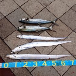 やっと秋が来た！