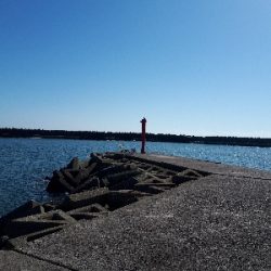 マアジがキター(ﾟ∀ﾟ 三 ﾟ∀ﾟ)