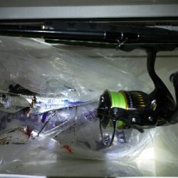 太刀魚2匹だけでした