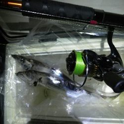 太刀魚2匹だけでした