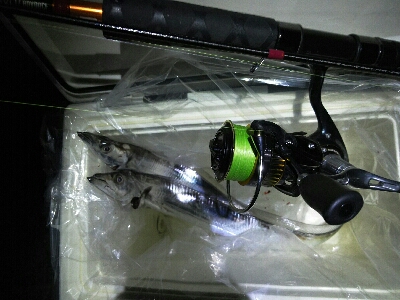 太刀魚2匹だけでした