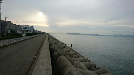 初サゴシだって