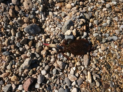 淡路島縦断釣行！！！