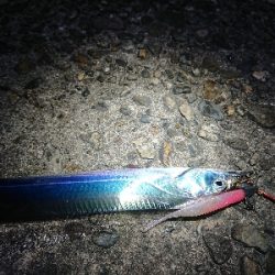 ちょこっと刀狩り