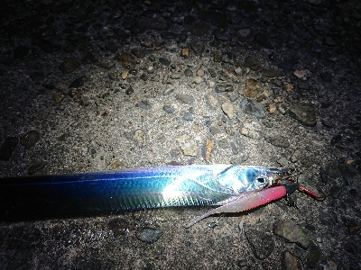 ちょこっと刀狩り