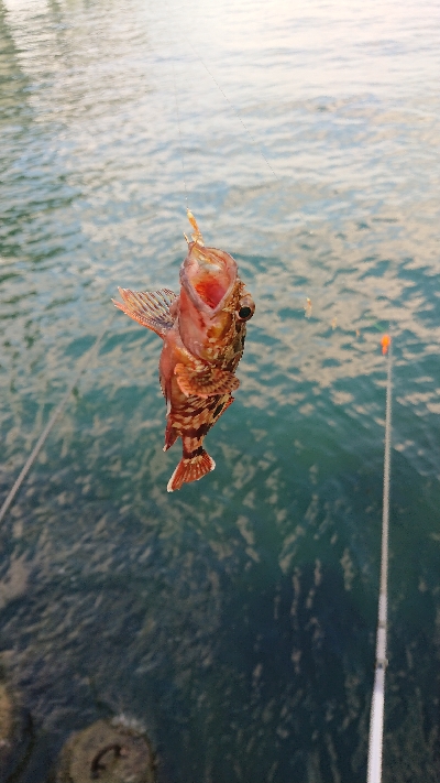 やっぱりあかん