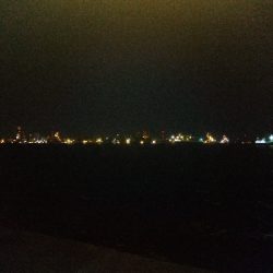 マイクロガッシー