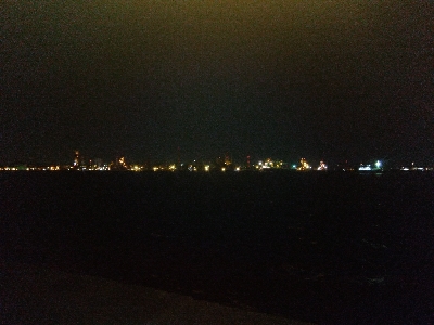 マイクロガッシー