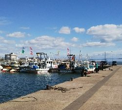 投げ釣りでハゼ