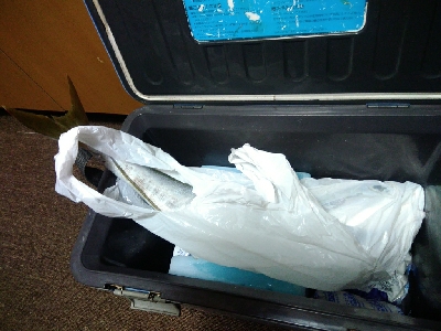 メジロ！激重！！！