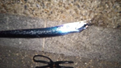 少しずつサイズアップ！