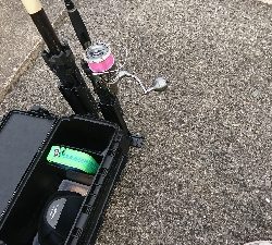 ノマセが強いのか！？