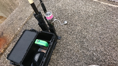 ノマセが強いのか！？