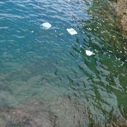 ごみは持ち帰りましょう。