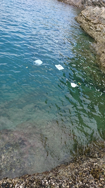 ごみは持ち帰りましょう。