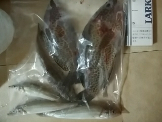 ヘダイ、キス、オオモンハタ