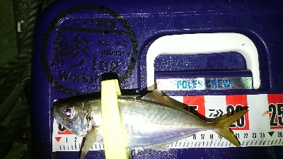 アジングいまいち