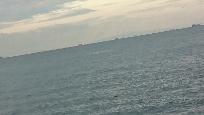 シーズン初サゴシ