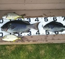 自己記録更新！