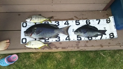 自己記録更新！