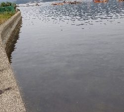 エキングからのチニング