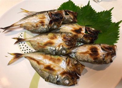 台風前のサバ、アジラッシュ、