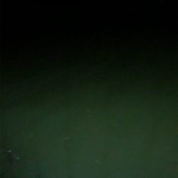 ナイトチニング