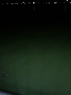 ナイトチニング