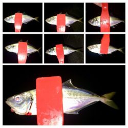 台風一過アジング